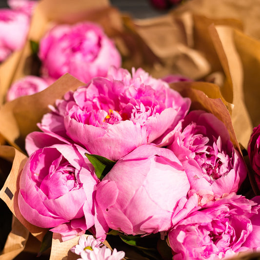 Peony Bundle Pick-Up Only