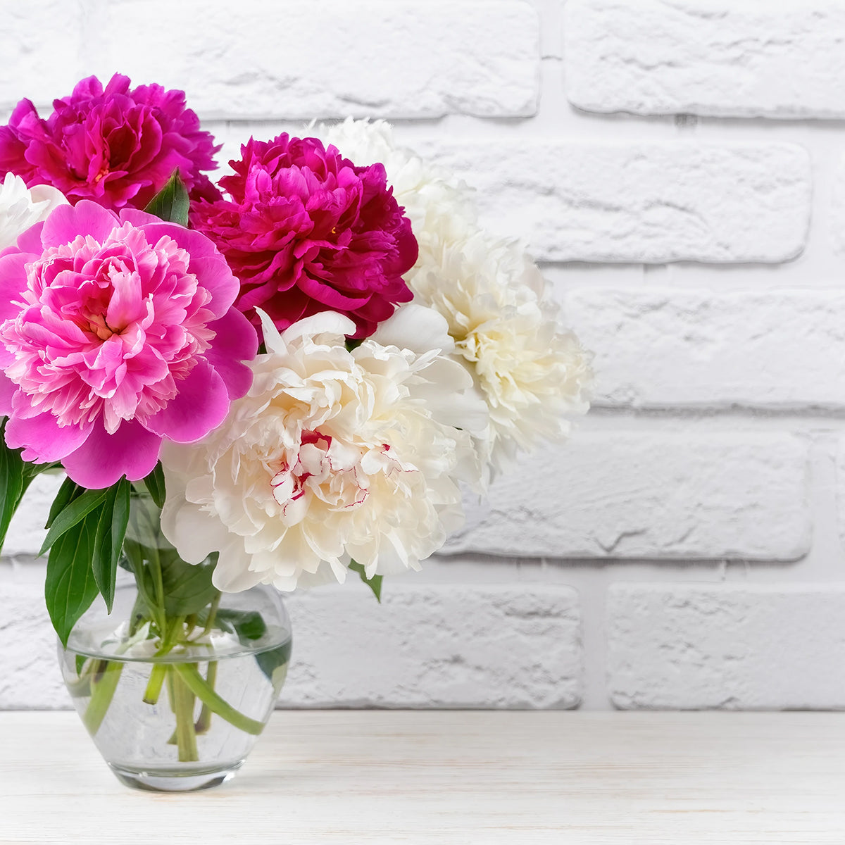 Mother's Day Peony Delivery - May 8th